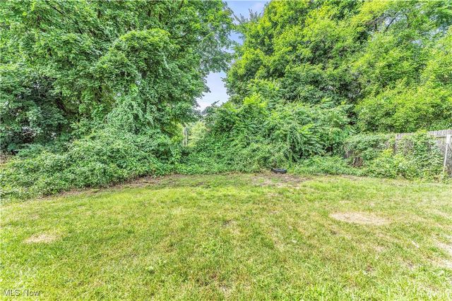 1174 La Croix Avenue, Akron, OH 44307