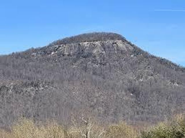 176 Soaring Hawk Trail, Cleveland, GA 30528