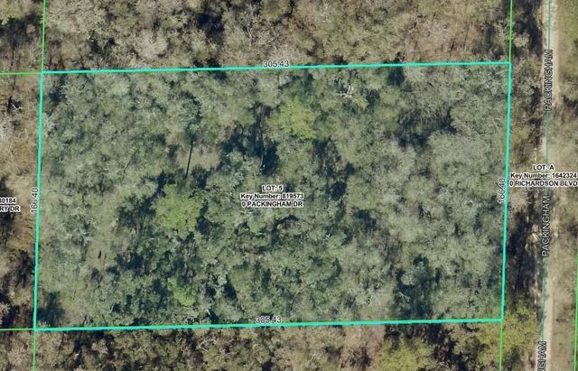 TBD PACKINGHAM DRIVE, Webster, FL 33597