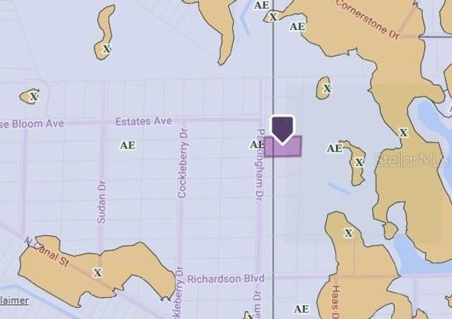 TBD PACKINGHAM DRIVE, Webster, FL 33597