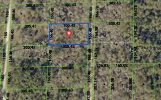TBD PACKINGHAM DRIVE, Webster, FL 33597