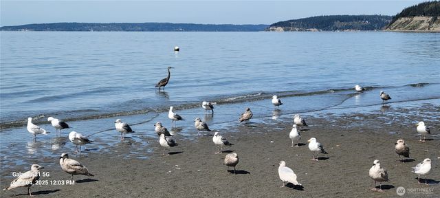 2817 Huckleberry Lane, Camano Island, WA 98282