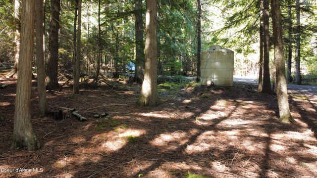 27613 S HINDS DR, St. Maries, ID 83861