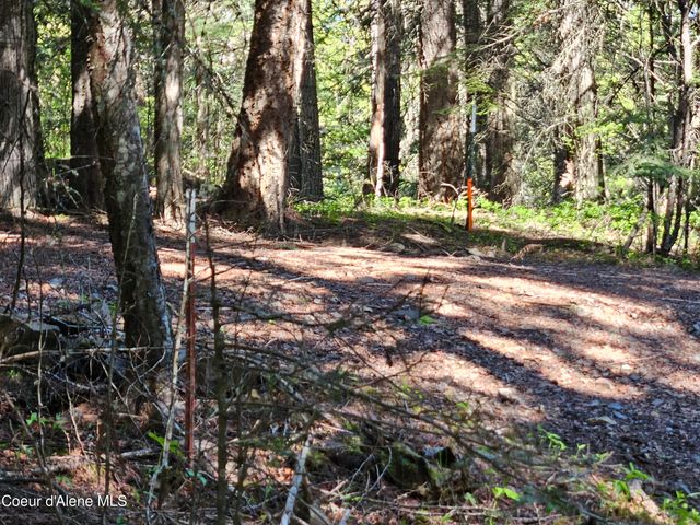 27613 S HINDS DR, St. Maries, ID 83861