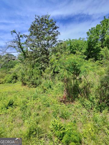 479 Sandtown RD SE LOT 2, Cartersville, GA 30121