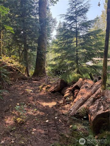 0 XXXXX W Shore Drive, Mount Vernon, WA 98274