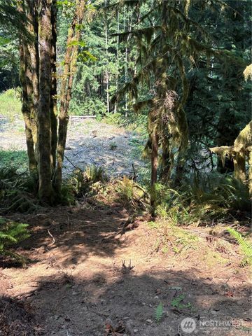 0 XXXXX W Shore Drive, Mount Vernon, WA 98274