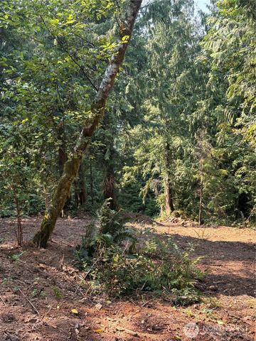 0 XXXXX W Shore Drive, Mount Vernon, WA 98274