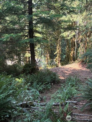 0 XXXXX W Shore Drive, Mount Vernon, WA 98274