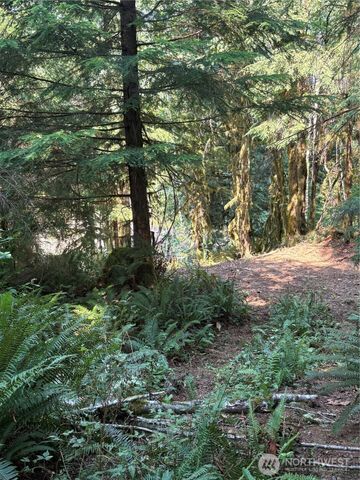 0 XXXXX W Shore Drive, Mount Vernon, WA 98274