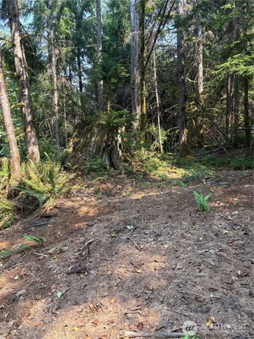 0 XXXXX W Shore Drive, Mount Vernon, WA 98274