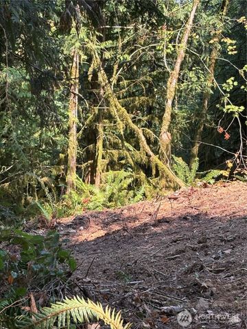 0 XXXXX W Shore Drive, Mount Vernon, WA 98274