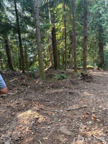 0 XXXXX W Shore Drive, Mount Vernon, WA 98274