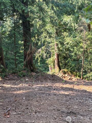 0 XXXXX W Shore Drive, Mount Vernon, WA 98274