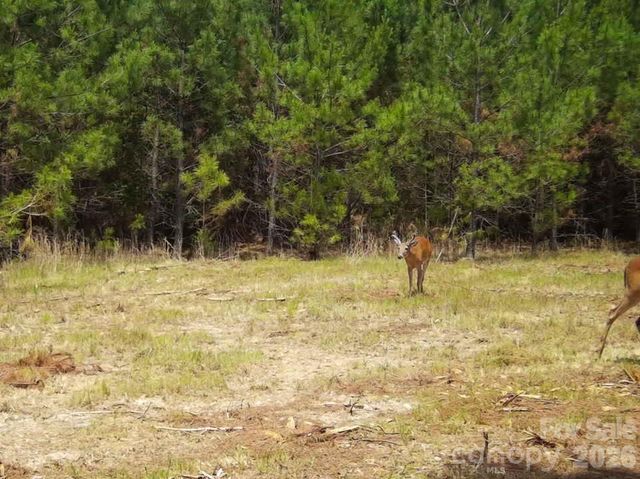 14840 Short Cut Road, Gold Hill, NC 28071