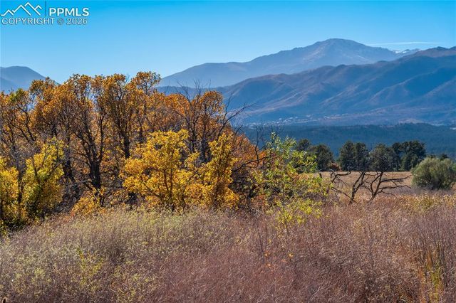 909 Sir Barton Drive, Colorado Springs, CO 80921