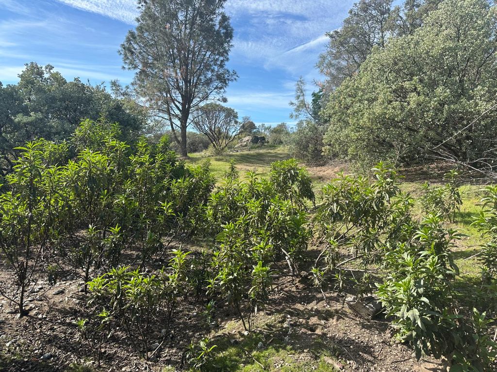 Image 2 of property listing at 9 Quartz Ridge Court, Coarsegold, CA 93614