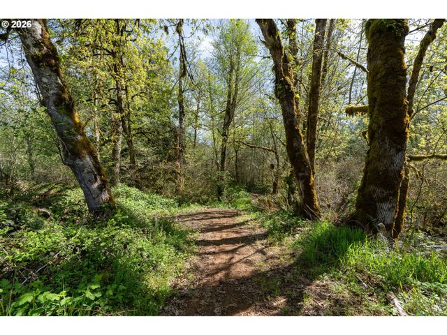 21542 HIGHWAY 126, Noti, OR 97461
