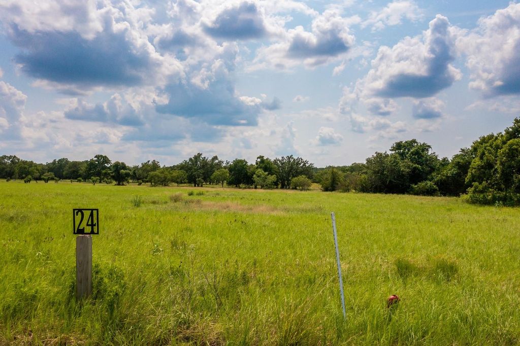 Lot 24 Lilly Lane RD, Round Mountain, TX 78663