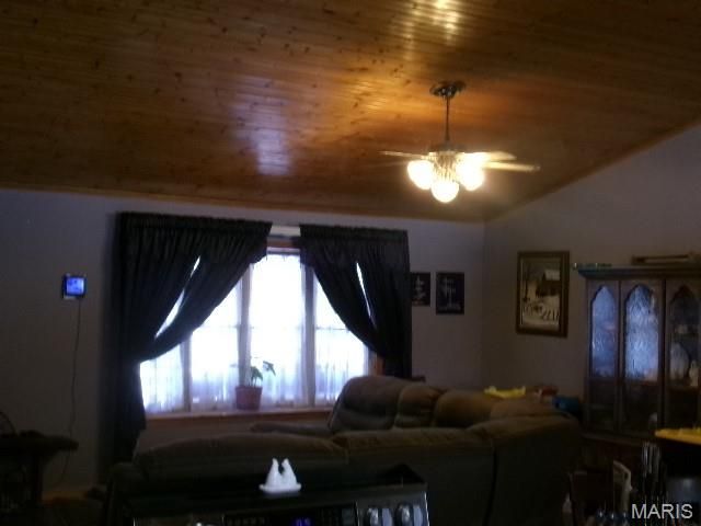 1160 County Road 6150, Salem, MO 65560