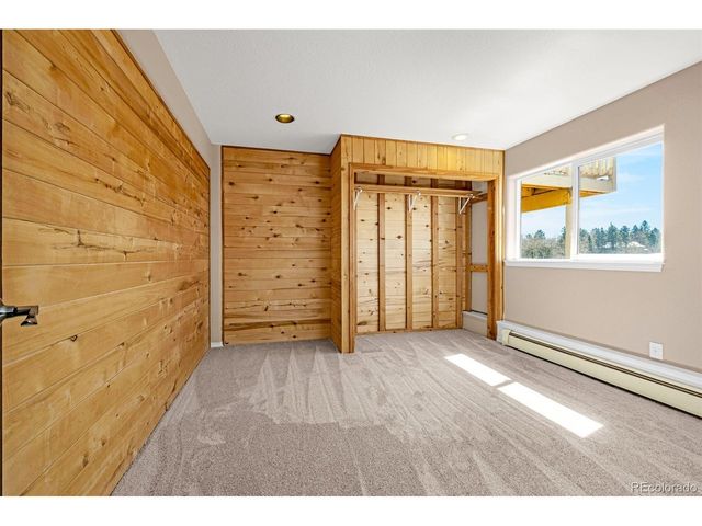 78 Moss Rock Dr, Divide, CO 80814