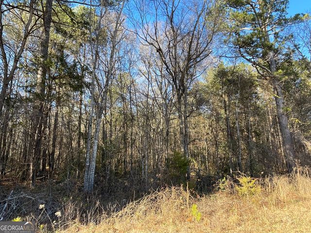 13 AC S Highway 81, Covington, GA 30016