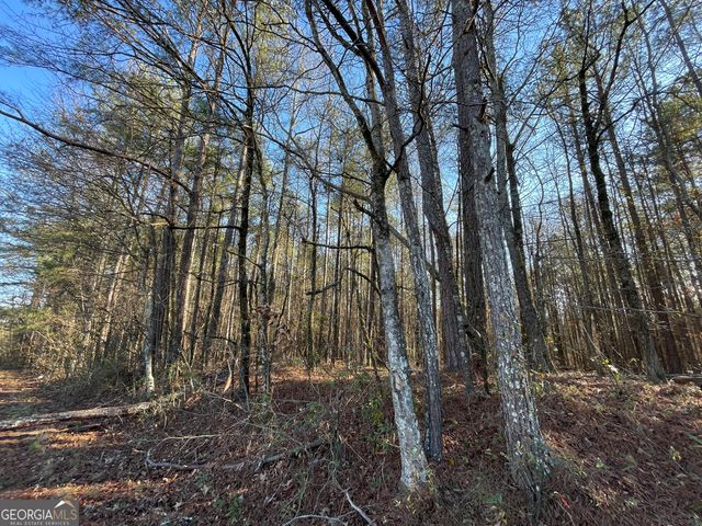 13 AC S Highway 81, Covington, GA 30016