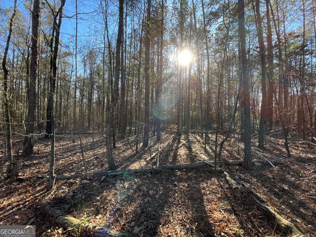 13 AC S Highway 81, Covington, GA 30016