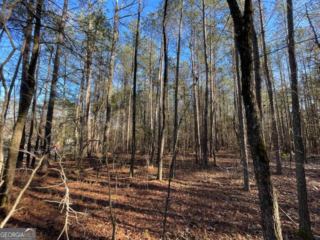 13 AC S Highway 81, Covington, GA 30016