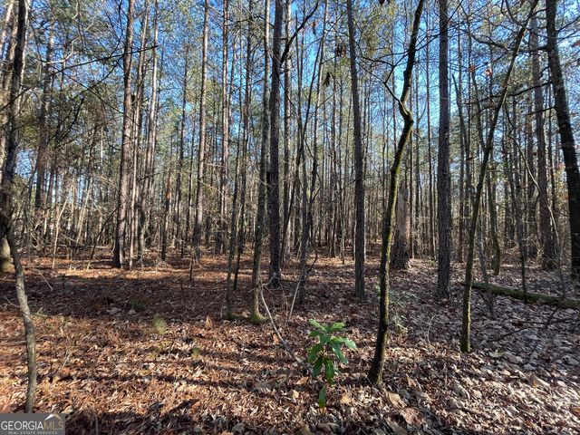 13 AC S Highway 81, Covington, GA 30016