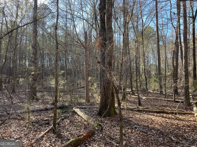 13 AC S Highway 81, Covington, GA 30016