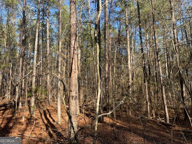 13 AC S Highway 81, Covington, GA 30016