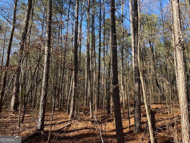 13 AC S Highway 81, Covington, GA 30016