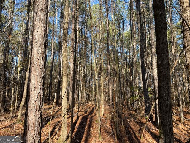 13 AC S Highway 81, Covington, GA 30016