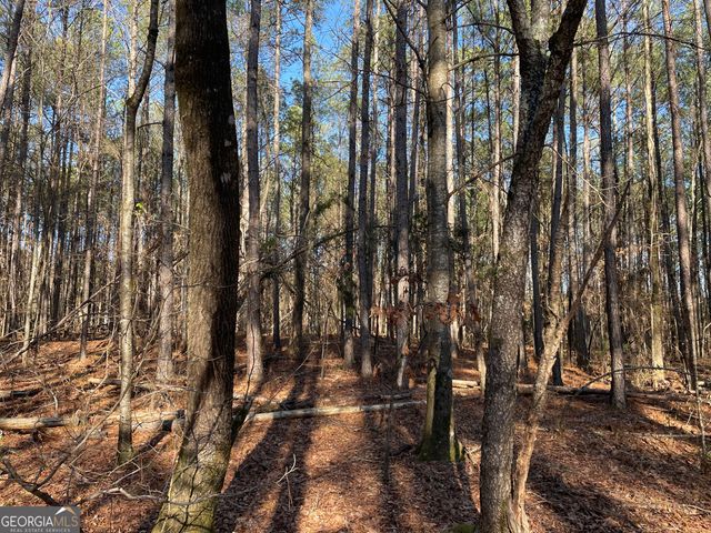 13 AC S Highway 81, Covington, GA 30016