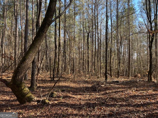 13 AC S Highway 81, Covington, GA 30016