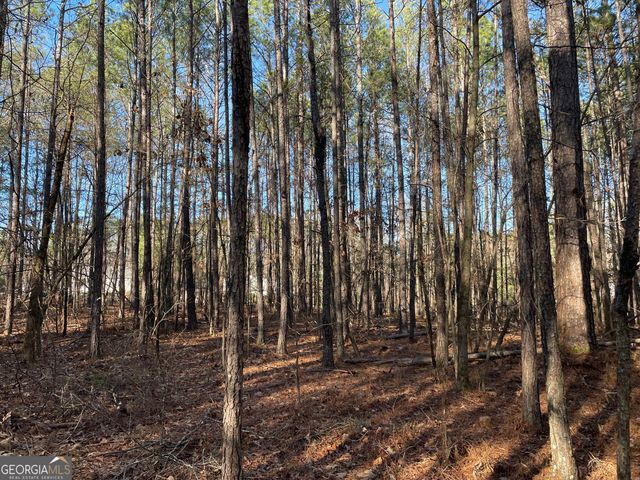 13 AC S Highway 81, Covington, GA 30016