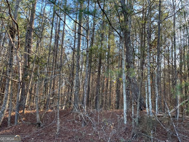 13 AC S Highway 81, Covington, GA 30016