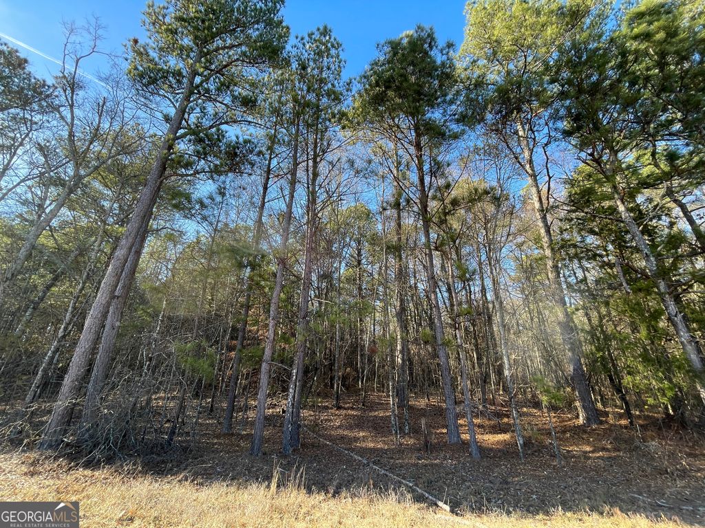 13 AC S Highway 81, Covington, GA 30016
