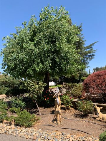 925 Townhill Rd, Oakdale, CA 95361