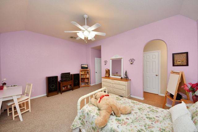 2803 Ridge Falls Drive, Manvel, TX 77578