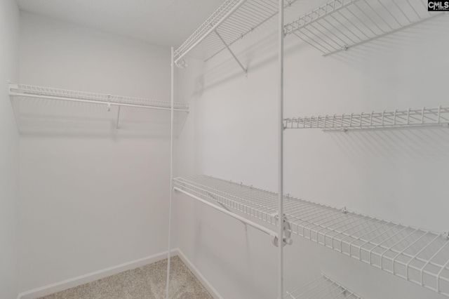 10 Trentridge Court, Columbia, SC 29229