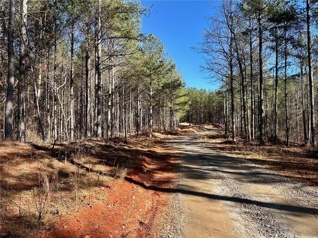 1107 Larmon Forks Road, Dahlonega, GA 30533