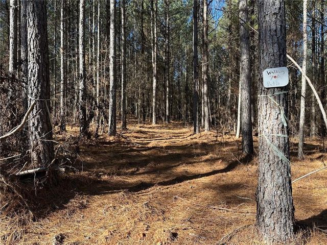 1107 Larmon Forks Road, Dahlonega, GA 30533