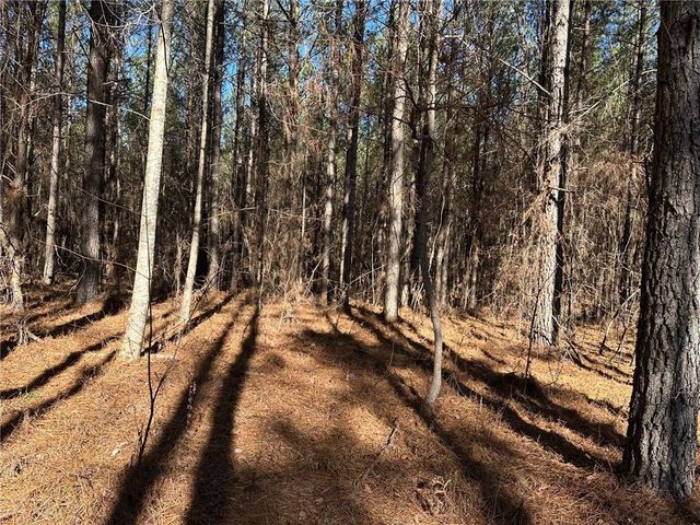 1107 Larmon Forks Road, Dahlonega, GA 30533