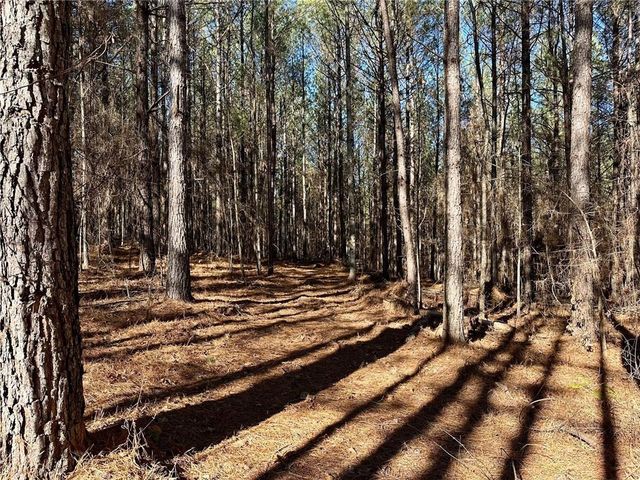 1107 Larmon Forks Road, Dahlonega, GA 30533