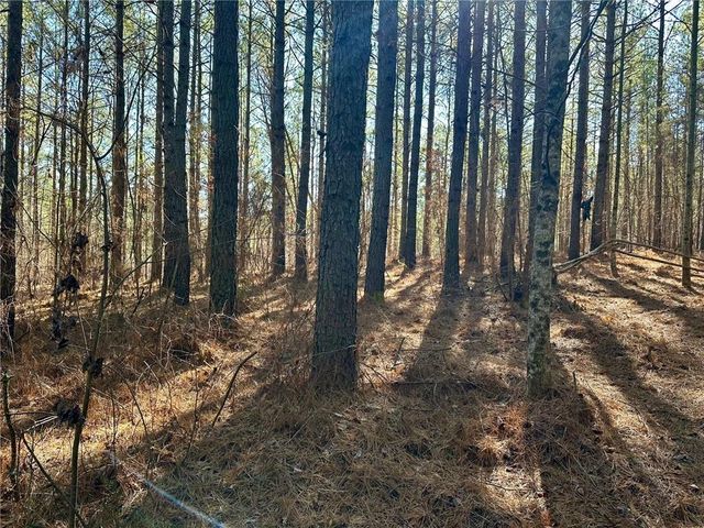 1107 Larmon Forks Road, Dahlonega, GA 30533