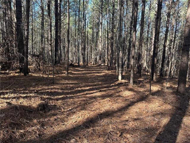 1107 Larmon Forks Road, Dahlonega, GA 30533