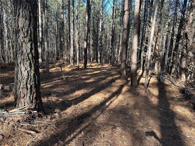 1107 Larmon Forks Road, Dahlonega, GA 30533