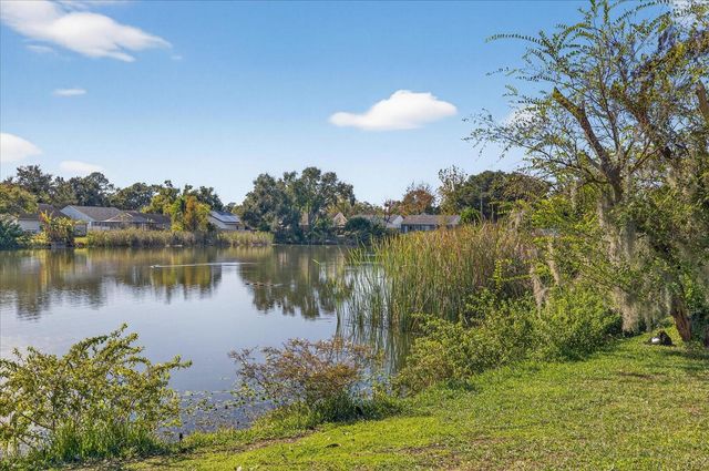 7819 CHAPERON COURT, Tampa, FL 33637